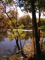 Potomac Eagle Scenic Train Ride